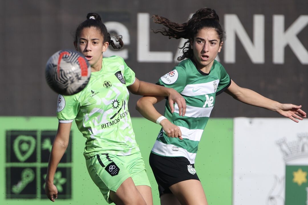 /fotosgeral/Fotos/2-50174897#f9acdbc45f8b94d8ed79566980b42035 (20202820) (Milenium)