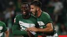 Sporting à caça de centrais para o verão