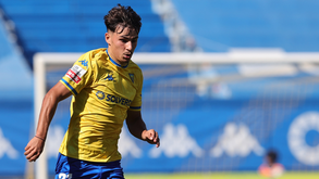 Wolves vão à caça por Rodrigo Gomes