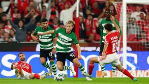 Estudo coloca Liga Betclic como uma das mais competitivas da Europa