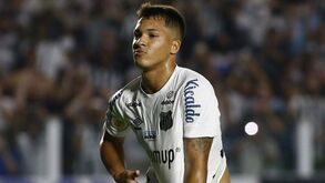 Ramon Menezes sossega os adeptos do Benfica: «Marcos Leonardo vai adaptar-se rapidamente»