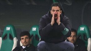 Leão mantém a fome mesmo sem passas 