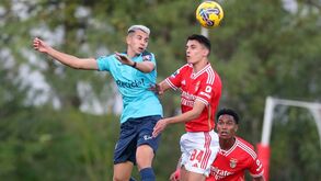 Adepto detido no final do Benfica B-Belenenses