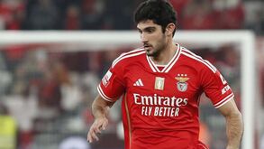Schmidt sobre Gonçalo Guedes: «Precisa de mais jogos e de menos problemas físicos»
