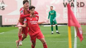 Benfica recupera do susto e goleia Torreense