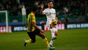 Ora faça favor de marcar, ‘Senhor Leão’