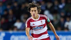 Chegada de Álvaro Fernández ao Benfica poderá ser por empréstimo