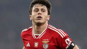 João Neves prioritário para o Man. United: ingleses arrancam com negociações já em janeiro