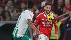 As notas dos jogadores do Benfica diante do Rio Ave: eletricidade de Rafa deu luz ao ataque