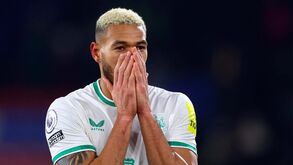 Paragem longa para o médio: Joelinton desfalca Newcastle