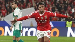 Rui Águas e a integração do 