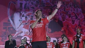 Rui Costa: «O Benfica terá sempre um presidente adepto mas responsável»