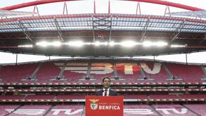 Rui Costa diz que naming do Estádio da Luz pode estar para breve: «Temos boas oportunidades»