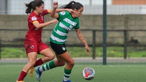 Leoas querem rugir na Taça