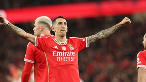 As notas dos jogadores do Benfica frente ao Boavista: uma bela pincelada ao estilo argentino