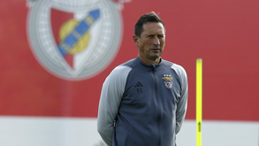 Plantel do Benfica goza folga hoje