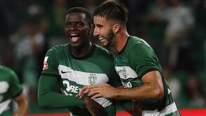 Sporting à caça de centrais para o verão