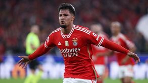 Jonas rendido a Marcos Leonardo: «O Benfica fez uma grande contratação, está no clube certo»