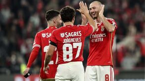 «Podem vir jogadores experientes, de milhões, mas é o João Neves que cola tudo»