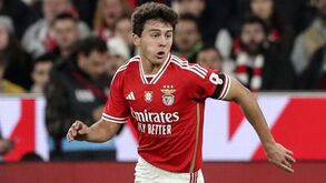 Plantel de 2024/25 do Benfica em construção: juventude comanda as tropas