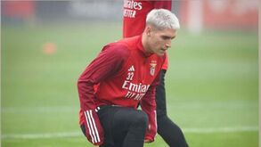 Rollheiser mostra-se a treinar: reforço do Benfica trabalha no Seixal