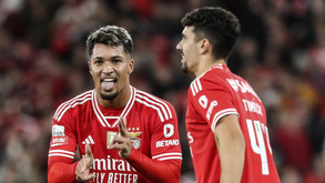 Tomás Araújo analisa reforços do Benfica: «Têm estado bem, têm muita qualidade»