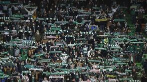 Onda Verde escala até à Suíça: bilhetes para a visita ao Young Boys já estão esgostados