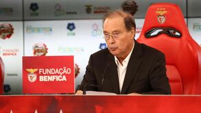 Fundação Benfica: os números de 15 anos de atividade