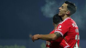 Musa de saída do Benfica: afinal, o croata rendeu mais a partir do banco ou a titular?