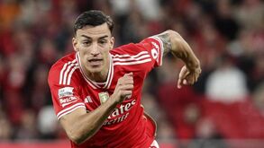 Schmidt sobre Musa: «Talvez vá deixar o clube e acho que neste momento é melhor deixá-lo de fora»