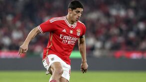 Rui Costa nem se esforçou para segurar Tiago Gouveia: avançado quis ficar e só pensa em ir ao Marquês