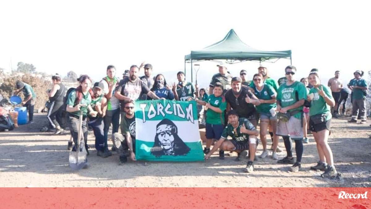 Fans der Grünen solidarisieren sich mit den Bränden in Chile – Sporting