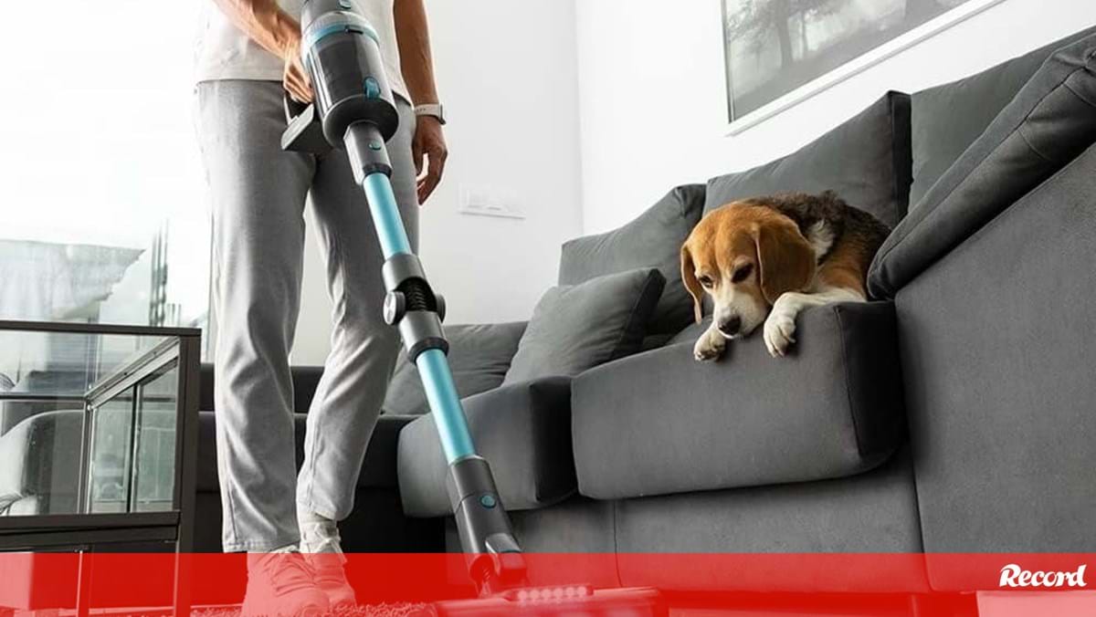 The Best Upright Vacuum Cleaners of 2021: From Economical to Advanced Models