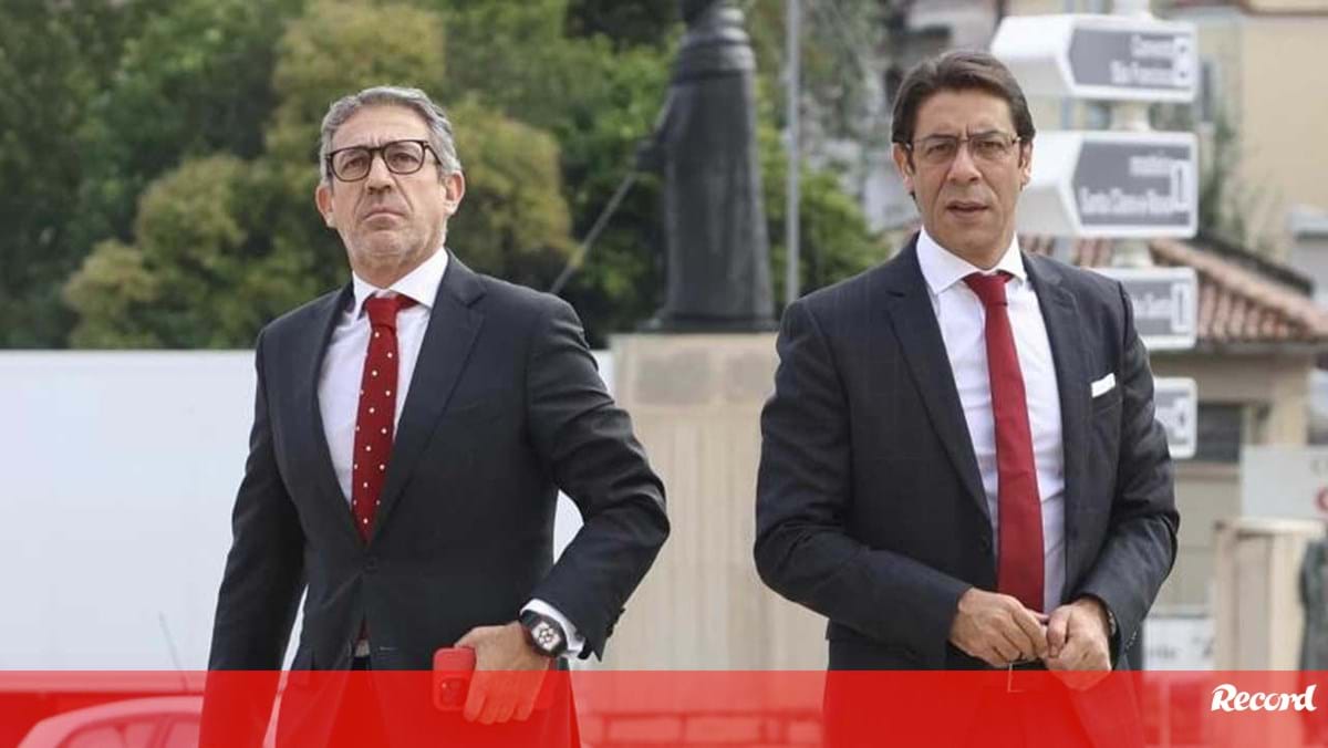 As contas do Benfica: capitais próprios e ativo sobem, passivo desce