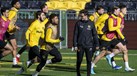 Treinador do Young Boys desvaloriza Gyökeres: «Não falo aos jogadores sobre individualidades»