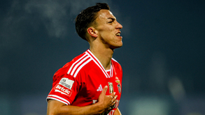 Musa é hoje oficializado no FC Dallas: saiba quanto o Benfica pode encaixar com a transferência