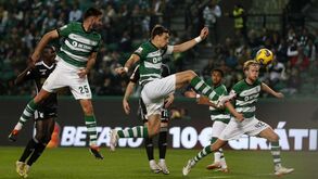 Sporting paga mais 6.630 euros de multas pelo comportamento dos adeptos