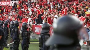 Mais de 400 adeptos impedidos de entrar em recintos em 2023: 13 no jogo do título do Benfica por uso de pirotecnia