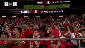 Assim foi a sentida homenagem do Estádio da Luz a Miklós Fehér: família do antigo jogador emocionada