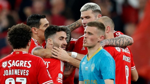 Schmidt bate os 200 golos ao leme do Benfica: marca atingida com o Gil Vicente