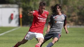 Francisco Domingues vai ser operado e pára várias semanas