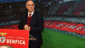 Fernando Seara: «Vieira fez crescer o Benfica sob todos os pontos de vista»