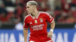 Rui Costa: «Rollheiser? Antecipámos porque acreditamos que pode ser um elemento importante esta época»