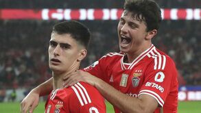 Estudo dá razão a Rui Costa: poucos clubes de topo aproveitam mais a formação do que o Benfica
