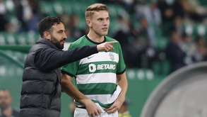Rúben Amorim: «Explicámos ao Gyökeres que ele pode melhorar»