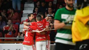 Benfica-Sporting, 6-1: a redenção