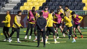 As últimas do Young Boys: ex-Benfica Loris Benito foi operado ao joelho e Elia já voltou da CAN