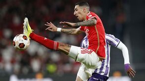 As notas dos jogadores do Benfica frente ao Toulouse: marcar penáltis ainda é com ele