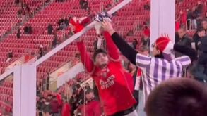 Adeptos do Benfica e do Toulouse trocam cachecóis no final do jogo na Luz