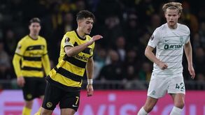 À atenção do Sporting: Ugrinic partiu um dedo do pé e desfalca o Young Boys em Alvalade